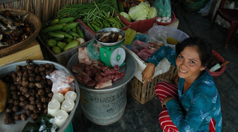 Promoting sustainable and inclusive trade. The EU in South and Southeast Asia