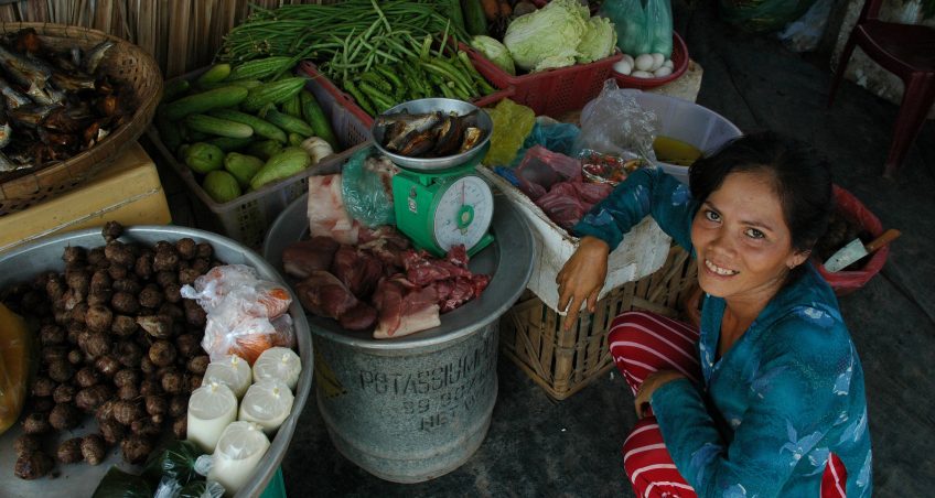 Promoting sustainable and inclusive trade. The EU in South and Southeast Asia